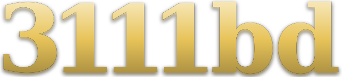 3111bd logo